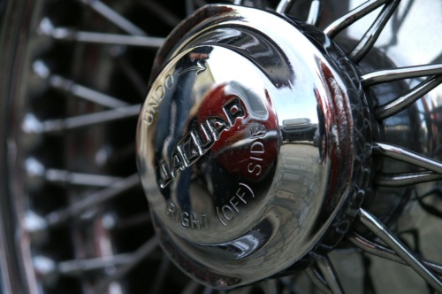 JEC Klub v Safari ZOO Dvůr Králové nad Labem 2010 II_45