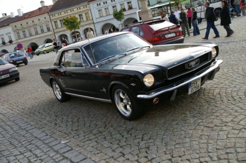 JEC Klub v Safari ZOO Dvůr Králové nad Labem 2010 II_58