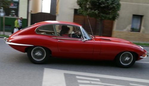 JEC Klub v Safari ZOO Dvůr Králové nad Labem 2010 II_60