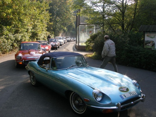 JEC Klub v Safari ZOO Dvůr Králové nad Labem 2010 IV