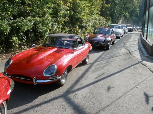 JEC Klub v Safari ZOO Dvůr Králové nad Labem 2010 IV_02