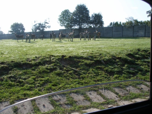 JEC Klub v Safari ZOO Dvůr Králové nad Labem 2010 IV_03