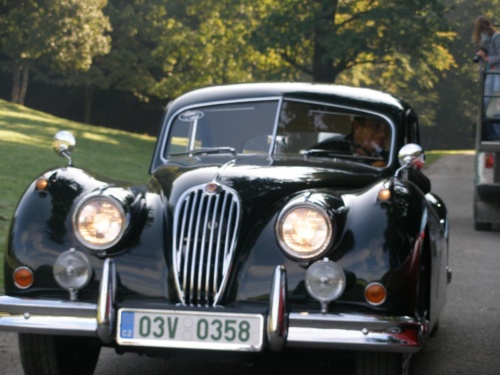 JEC Klub v Safari ZOO Dvůr Králové nad Labem 2010 IV_15