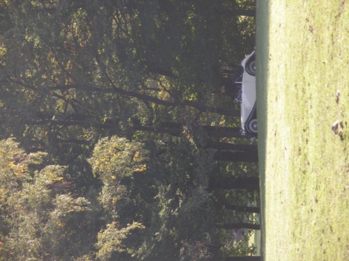 JEC Klub v Safari ZOO Dvůr Králové nad Labem 2010 IV_26