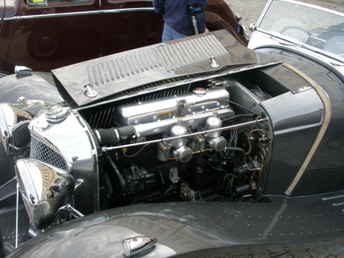 JEC Klub v Safari ZOO Dvůr Králové nad Labem 2010 IV_82