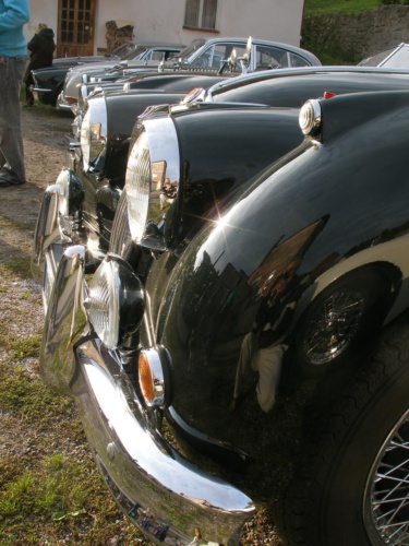 JEC Klub v Safari ZOO Dvůr Králové nad Labem 2010 IV_91