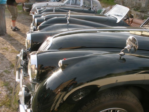 JEC Klub v Safari ZOO Dvůr Králové nad Labem 2010 IV_92