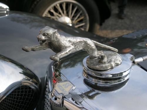 JEC Klub v Safari ZOO Dvůr Králové nad Labem 2010 IV_93