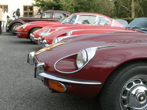 JEC Klub v Safari ZOO Dvůr Králové nad Labem 2010 IV_96