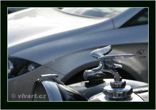 JEC Klub v Safari ZOO Dvůr Králové nad Labem 2010 V_111