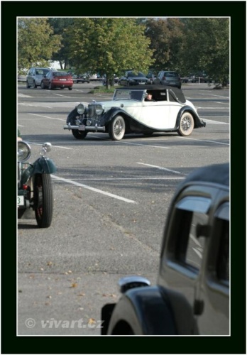 JEC Klub v Safari ZOO Dvůr Králové nad Labem 2010 V_119