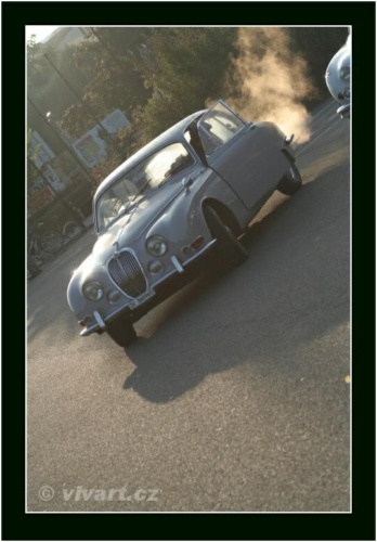 JEC Klub v Safari ZOO Dvůr Králové nad Labem 2010 V_12