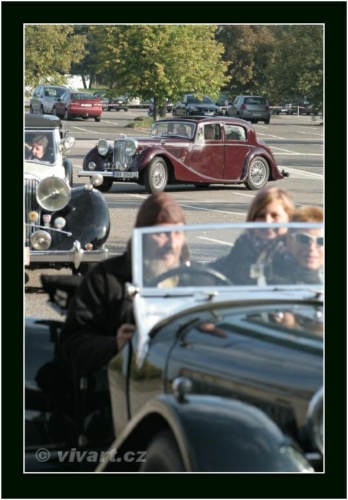 JEC Klub v Safari ZOO Dvůr Králové nad Labem 2010 V_123