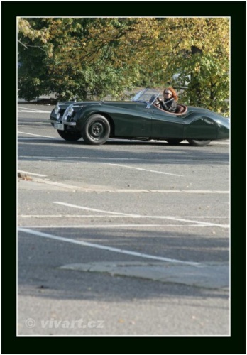 JEC Klub v Safari ZOO Dvůr Králové nad Labem 2010 V_131