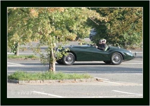 JEC Klub v Safari ZOO Dvůr Králové nad Labem 2010 V_132