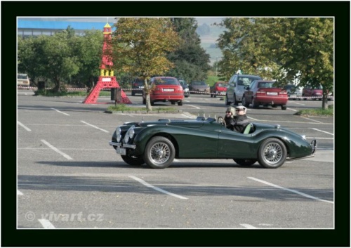 JEC Klub v Safari ZOO Dvůr Králové nad Labem 2010 V_133