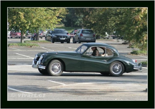 JEC Klub v Safari ZOO Dvůr Králové nad Labem 2010 V_134