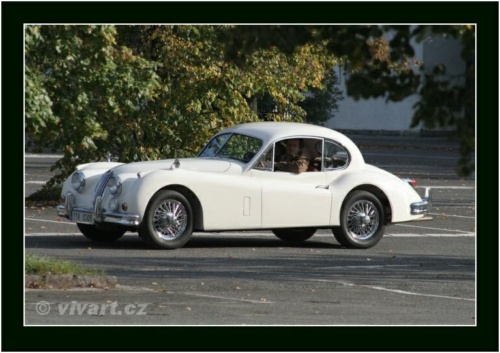 JEC Klub v Safari ZOO Dvůr Králové nad Labem 2010 V_135