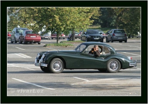 JEC Klub v Safari ZOO Dvůr Králové nad Labem 2010 V_138