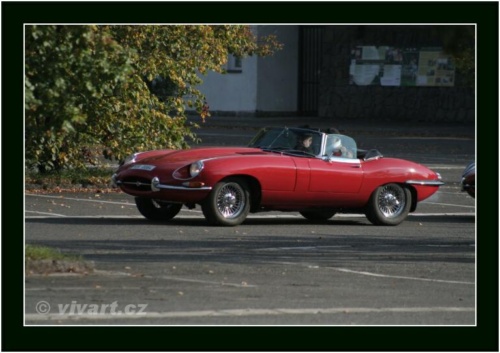 JEC Klub v Safari ZOO Dvůr Králové nad Labem 2010 V_143