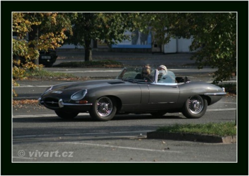 JEC Klub v Safari ZOO Dvůr Králové nad Labem 2010 V_144