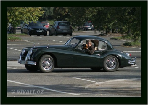 JEC Klub v Safari ZOO Dvůr Králové nad Labem 2010 V_145