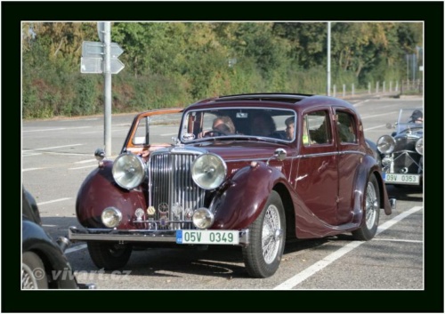 JEC Klub v Safari ZOO Dvůr Králové nad Labem 2010 V_146