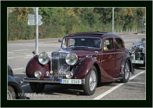 JEC Klub v Safari ZOO Dvůr Králové nad Labem 2010 V_147