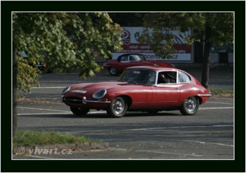 JEC Klub v Safari ZOO Dvůr Králové nad Labem 2010 V_150