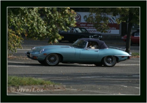 JEC Klub v Safari ZOO Dvůr Králové nad Labem 2010 V_151