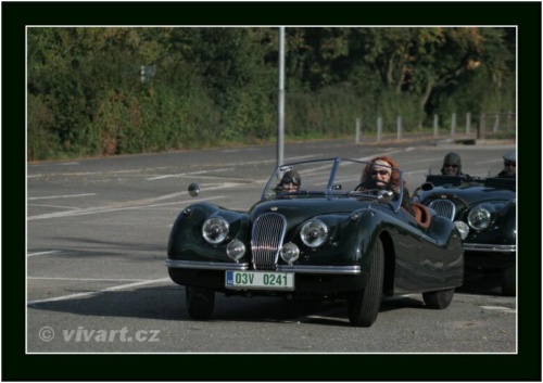 JEC Klub v Safari ZOO Dvůr Králové nad Labem 2010 V_153