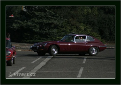 JEC Klub v Safari ZOO Dvůr Králové nad Labem 2010 V_156