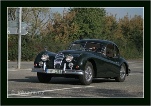 JEC Klub v Safari ZOO Dvůr Králové nad Labem 2010 V_158