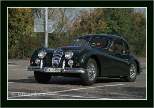 JEC Klub v Safari ZOO Dvůr Králové nad Labem 2010 V_159