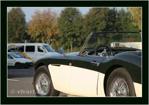 JEC Klub v Safari ZOO Dvůr Králové nad Labem 2010 V_16