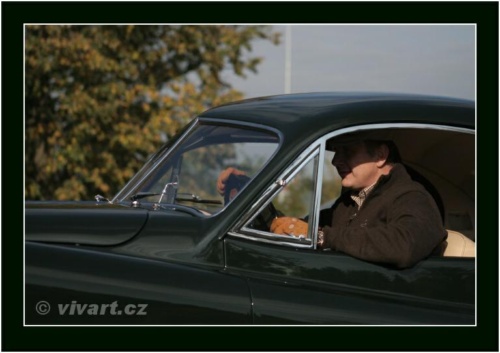 JEC Klub v Safari ZOO Dvůr Králové nad Labem 2010 V_160