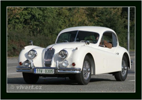 JEC Klub v Safari ZOO Dvůr Králové nad Labem 2010 V_161