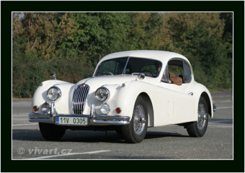 JEC Klub v Safari ZOO Dvůr Králové nad Labem 2010 V_162