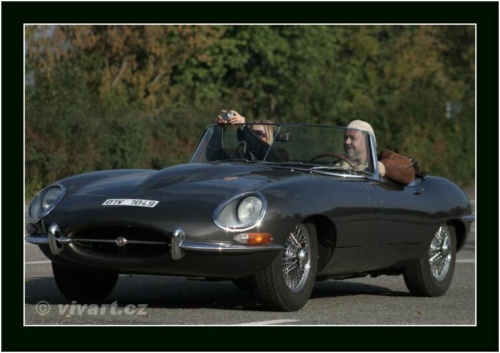 JEC Klub v Safari ZOO Dvůr Králové nad Labem 2010 V_164