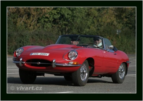 JEC Klub v Safari ZOO Dvůr Králové nad Labem 2010 V_165