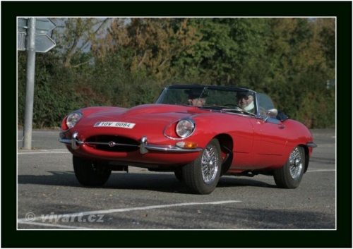 JEC Klub v Safari ZOO Dvůr Králové nad Labem 2010 V_166