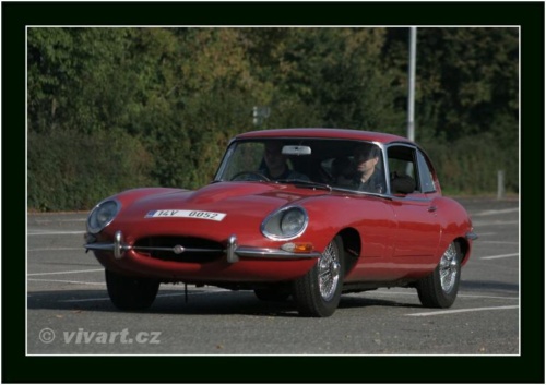 JEC Klub v Safari ZOO Dvůr Králové nad Labem 2010 V_167