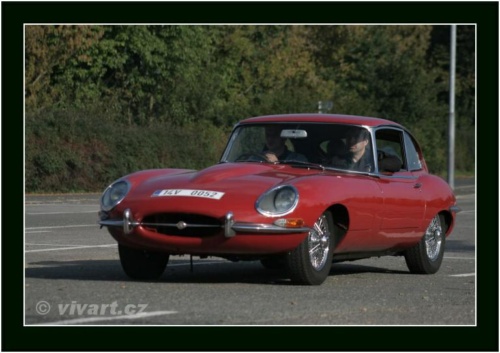 JEC Klub v Safari ZOO Dvůr Králové nad Labem 2010 V_168