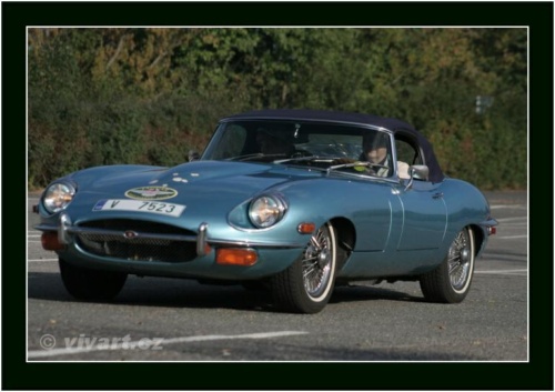 JEC Klub v Safari ZOO Dvůr Králové nad Labem 2010 V_169