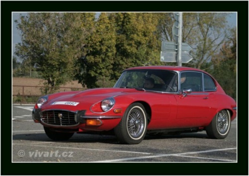 JEC Klub v Safari ZOO Dvůr Králové nad Labem 2010 V_171