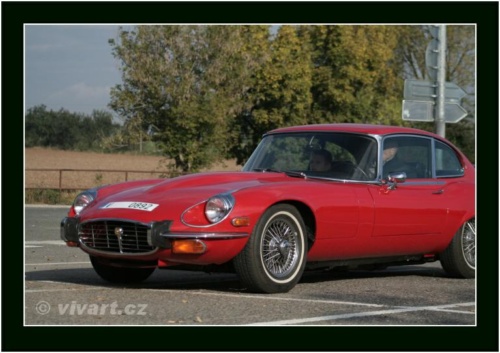 JEC Klub v Safari ZOO Dvůr Králové nad Labem 2010 V_172