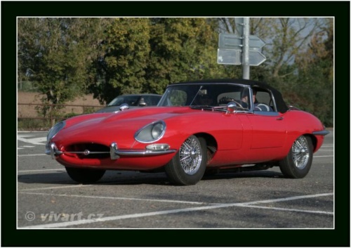 JEC Klub v Safari ZOO Dvůr Králové nad Labem 2010 V_174