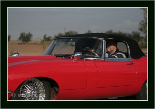 JEC Klub v Safari ZOO Dvůr Králové nad Labem 2010 V_175