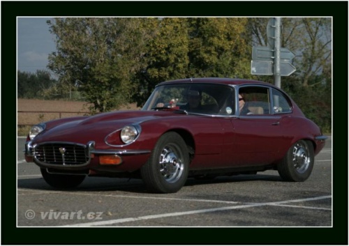 JEC Klub v Safari ZOO Dvůr Králové nad Labem 2010 V_176