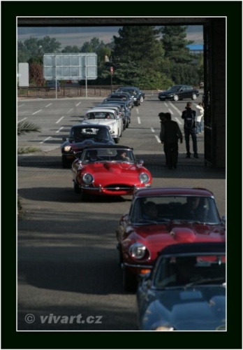 JEC Klub v Safari ZOO Dvůr Králové nad Labem 2010 V_179